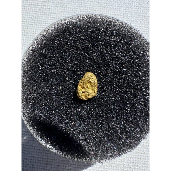Gold Nugget - Grass Valley, California - 0.20 grams - Picture 5 of 5